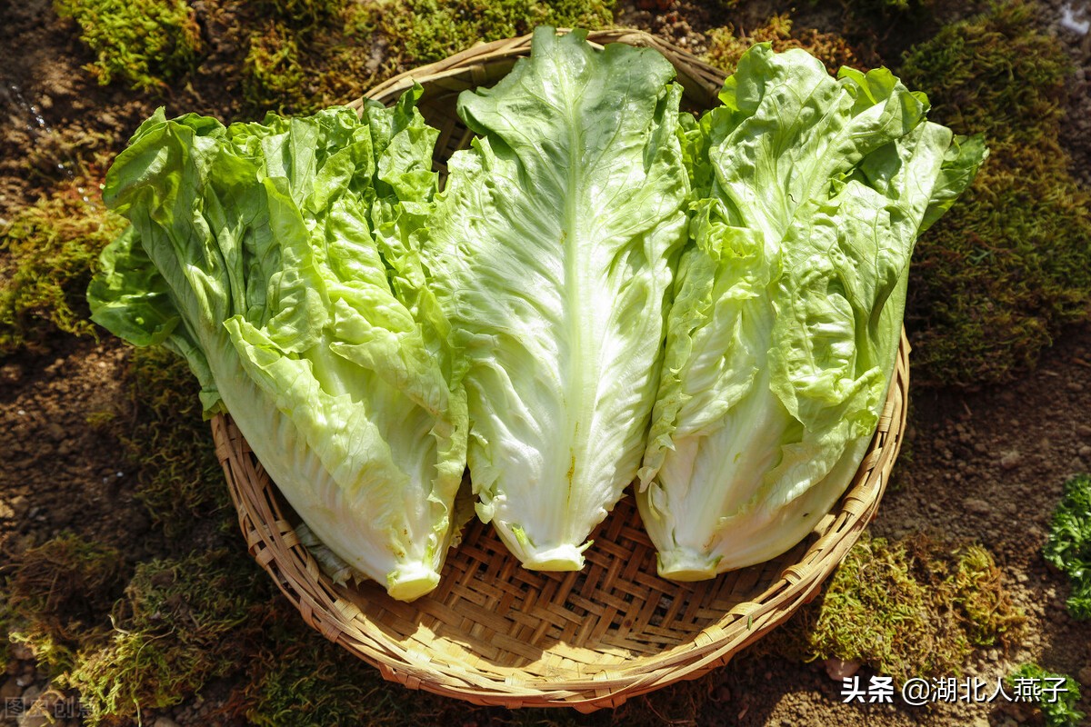 明日立春，多吃8种绿色的“立春菜”，清补美味，顺应节气而食